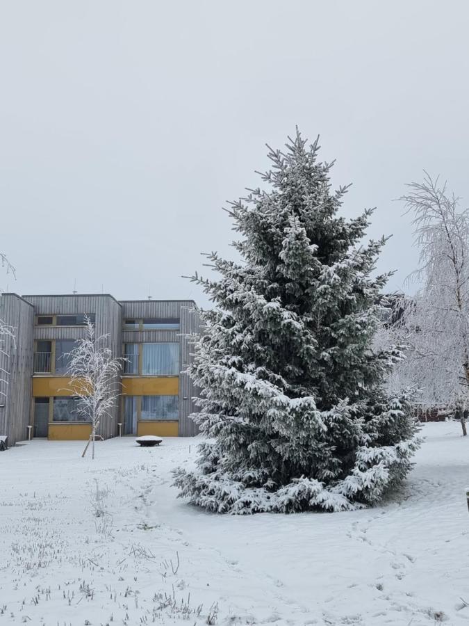 Apartment Max Loučná pod Klínovcem Екстериор снимка